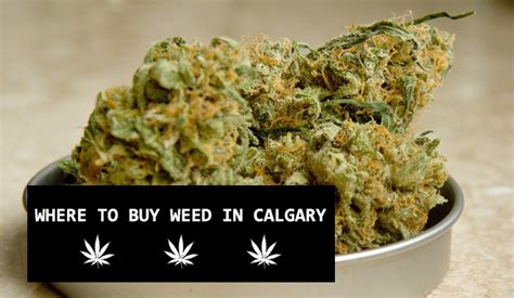 If youre using. . Where to buy ganja